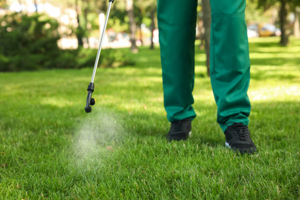 Lawn Pest Control in Tanaina, AK